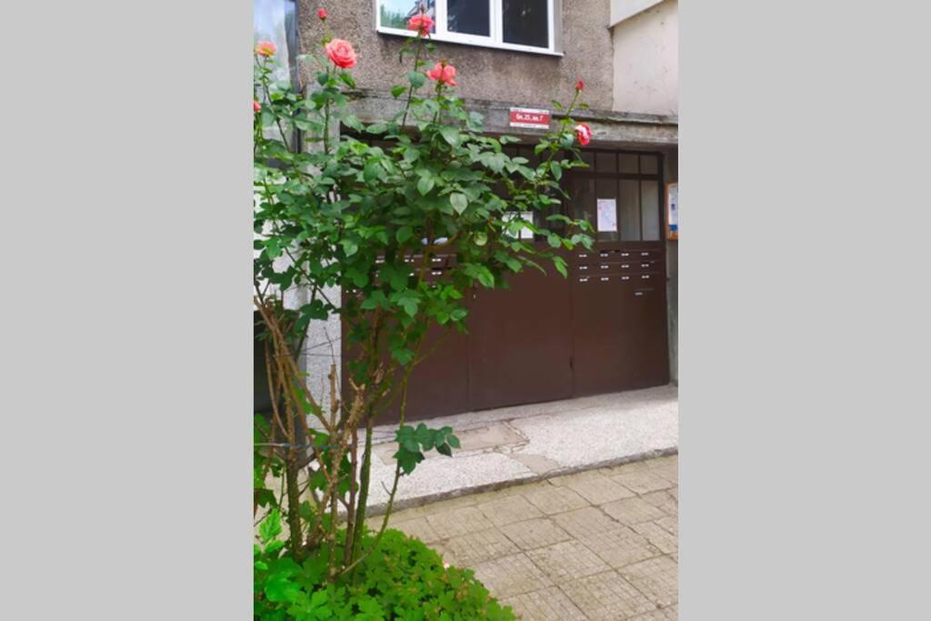 Lovely City Center 1Bd, 1Bt Apartment 索菲亞 外观 照片